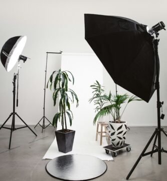 three green linear leafed plants beside softbox